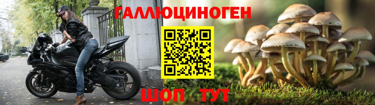 Псилоцибиновые грибы Magic Shrooms Железногорск